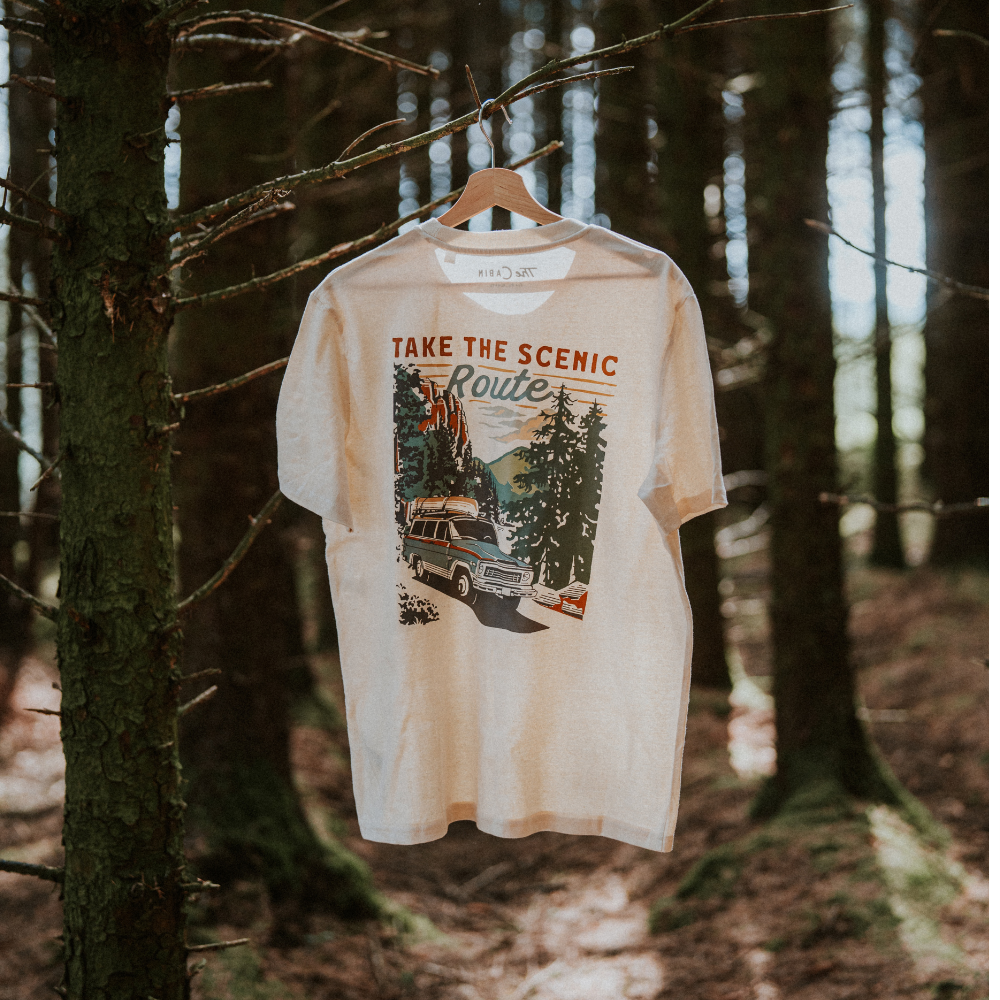 The Scenic Route Tee in Stone